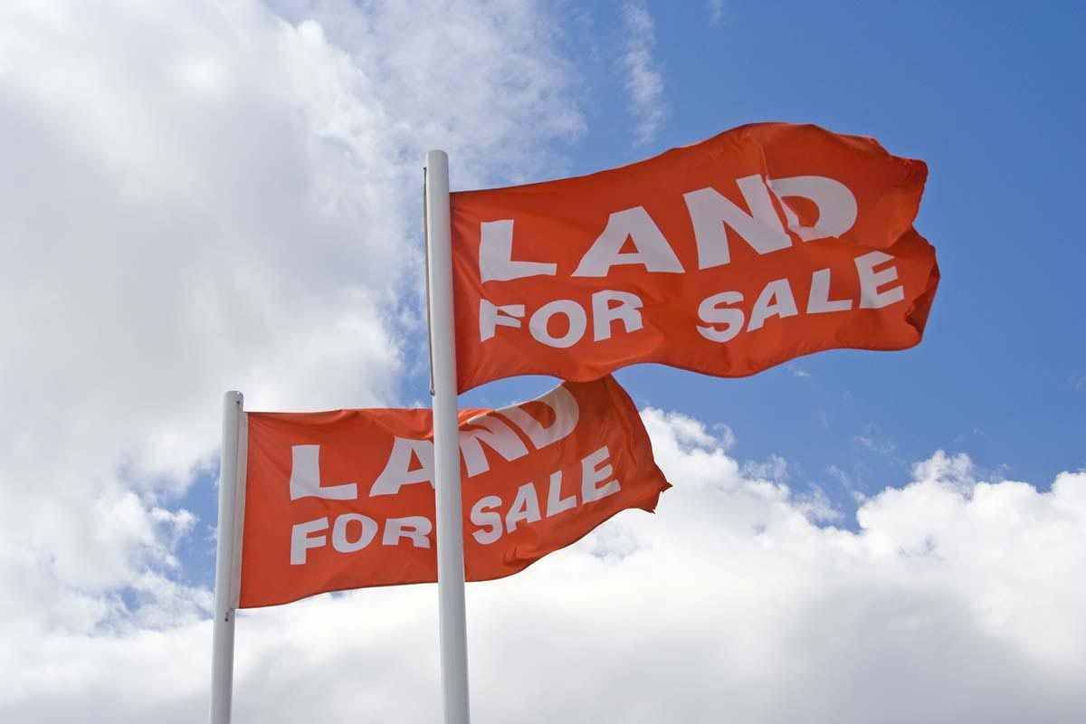 MPs Say The Government Must Offer More Transparency Over Land Sales ...