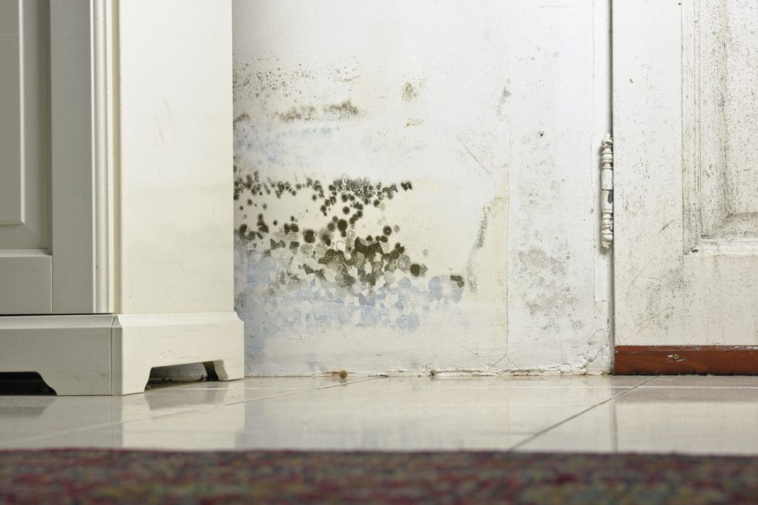 Cornerstone Management Services's David Bly believes more can be done to fight damp, condensation and mould issues in buildings