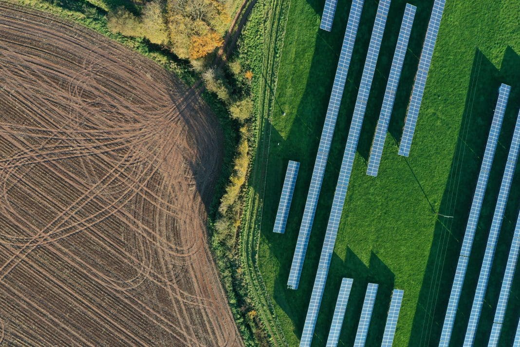 A new solar farms research project will study the biodiversity outcome of the proposed 380-hectare Longfield Solar Farm in Essex 