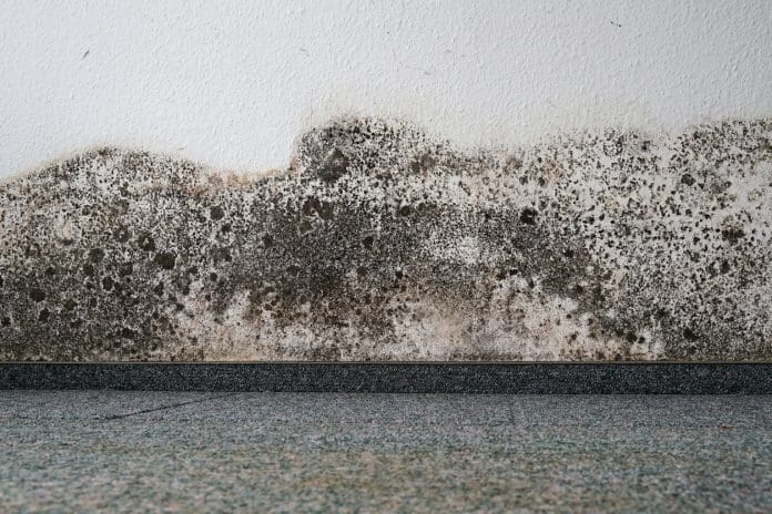 Mould on the wall of an home. New moisture management technology could help to tackle damp problems in housing.